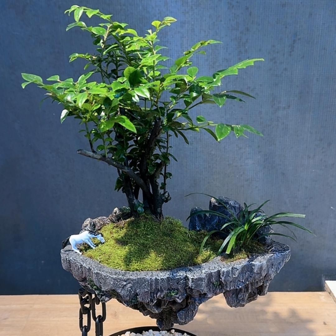 艺居饰界