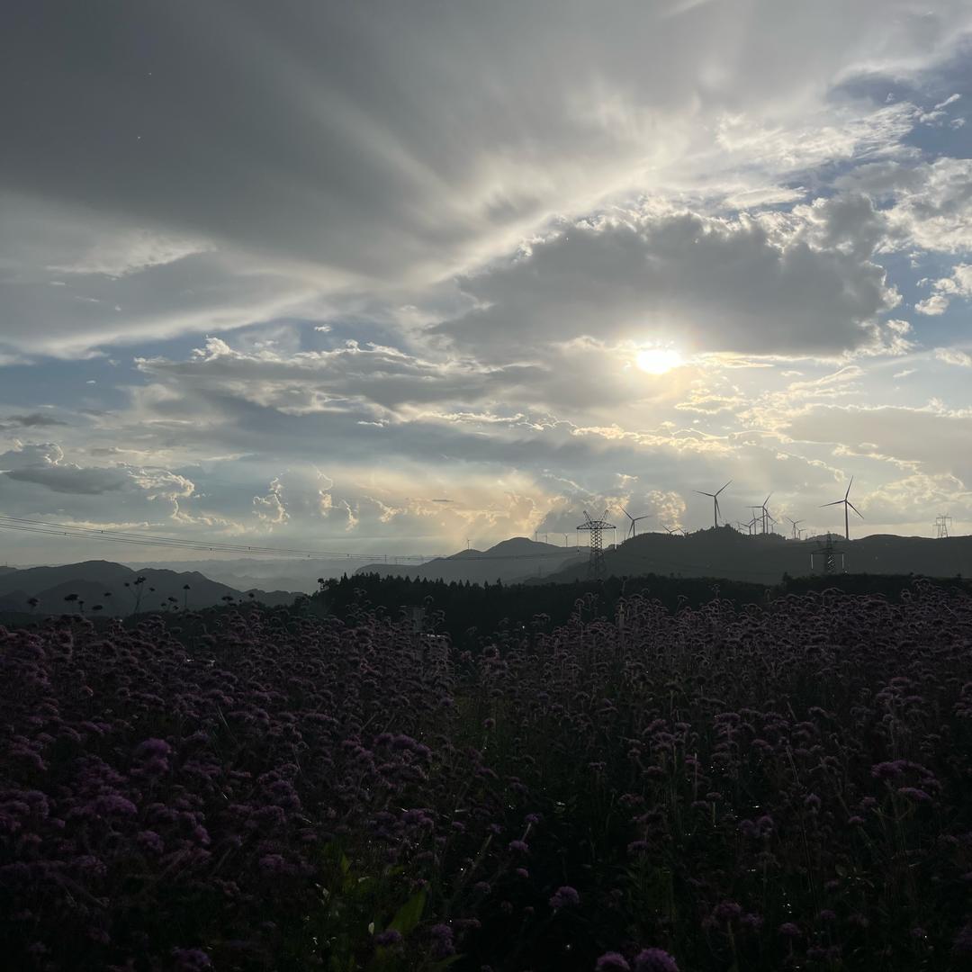 默