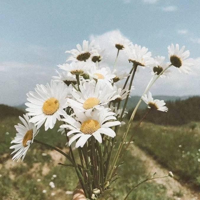 豆芽啊。