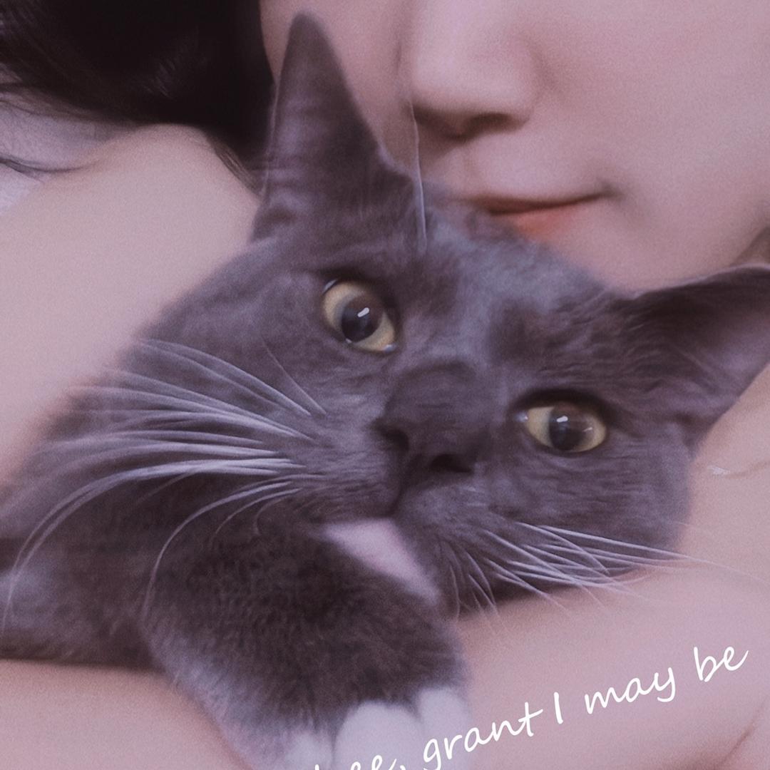 汪汪小舒舒