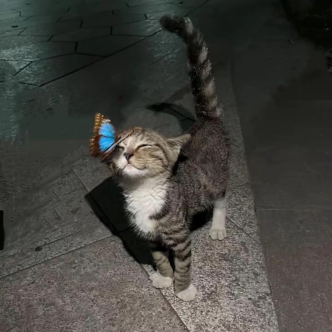 召