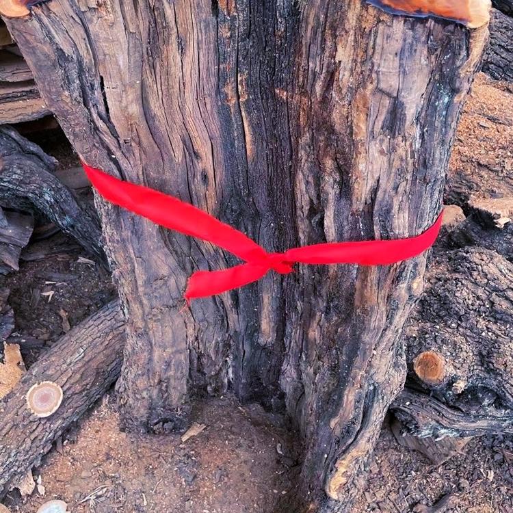 道一雷击木道木缘