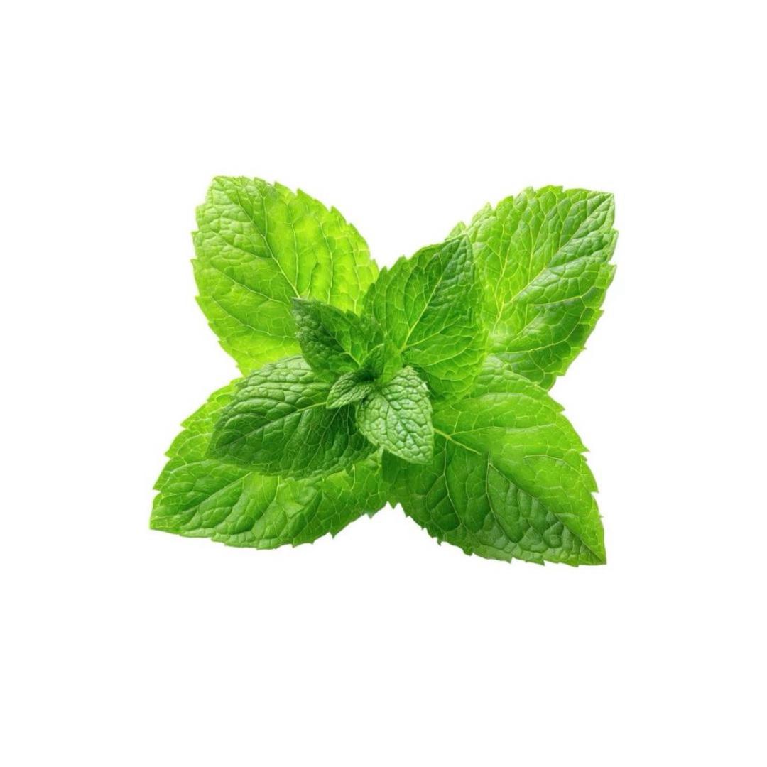 薄荷