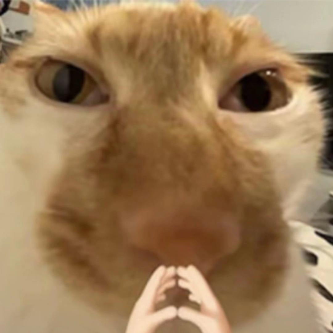 圈圈