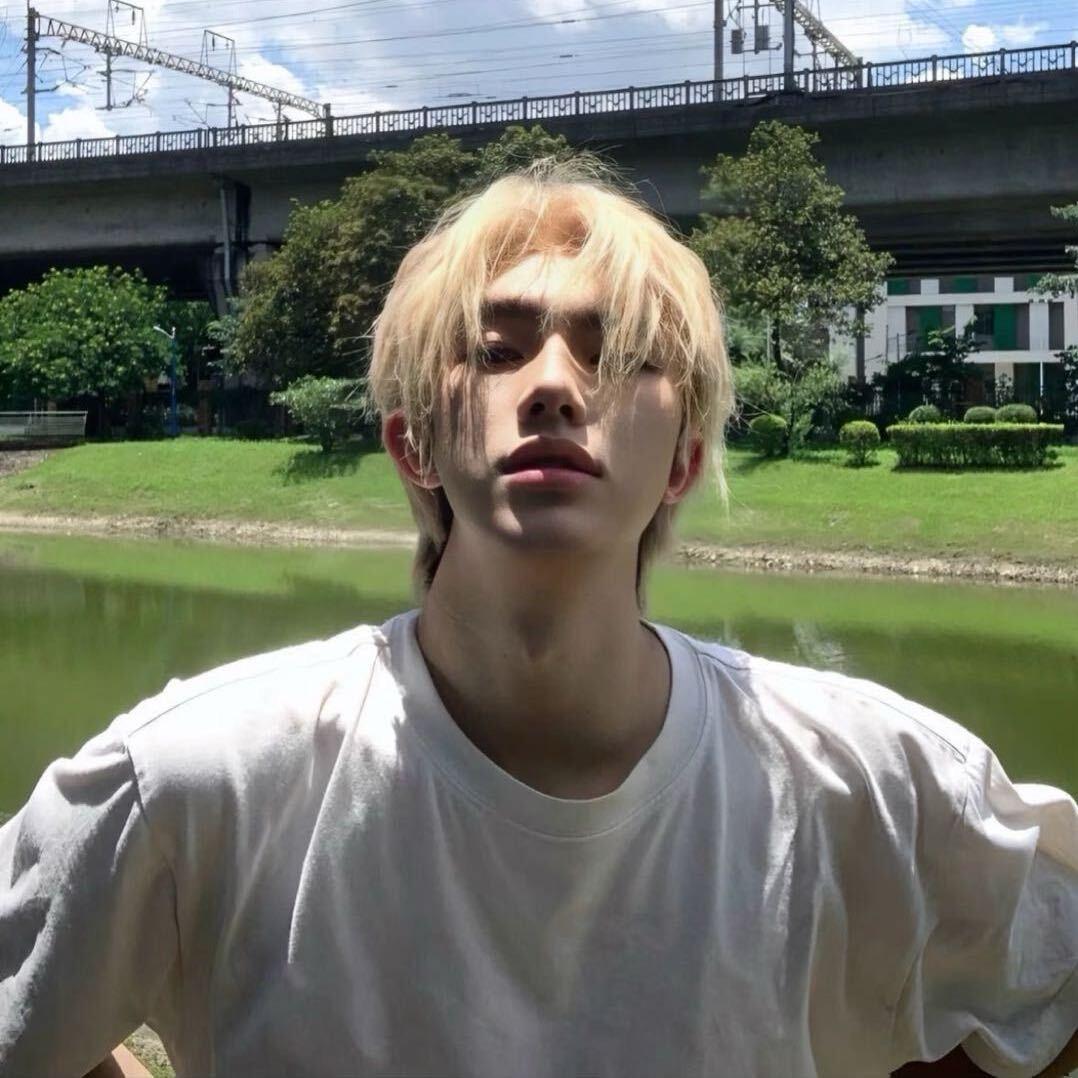 吃曲奇的饼干