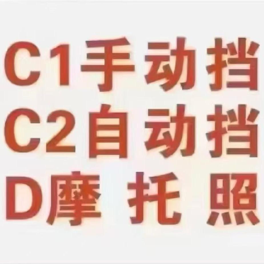 蛋子专注C1C2摩托本