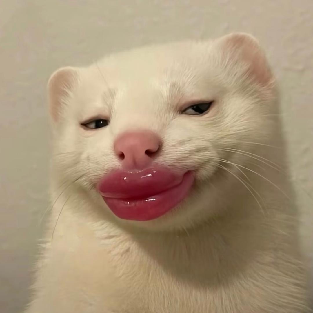 不要再吃了！！！