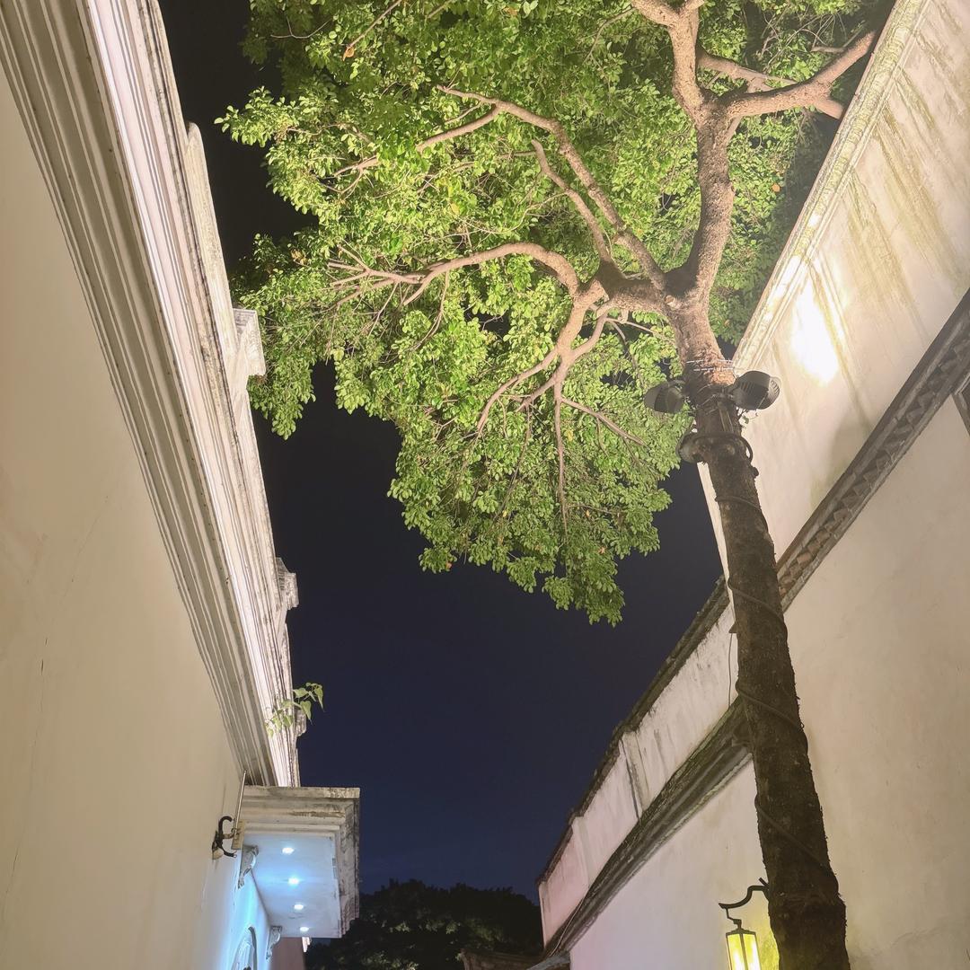 总是發