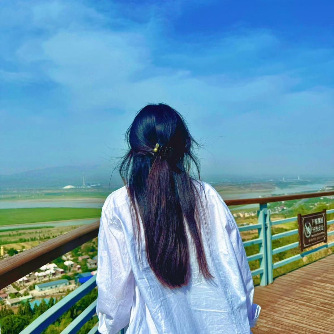 一意孤行的公主