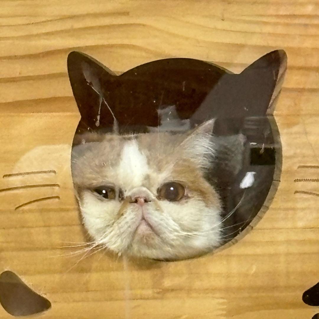 小刘