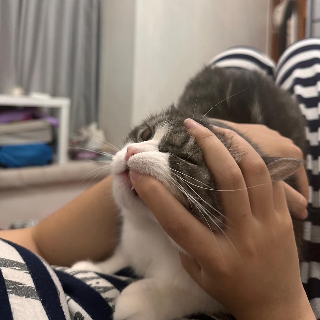 丘丘