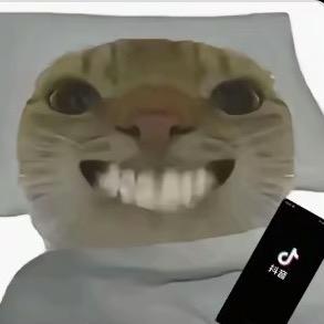 韩8同学