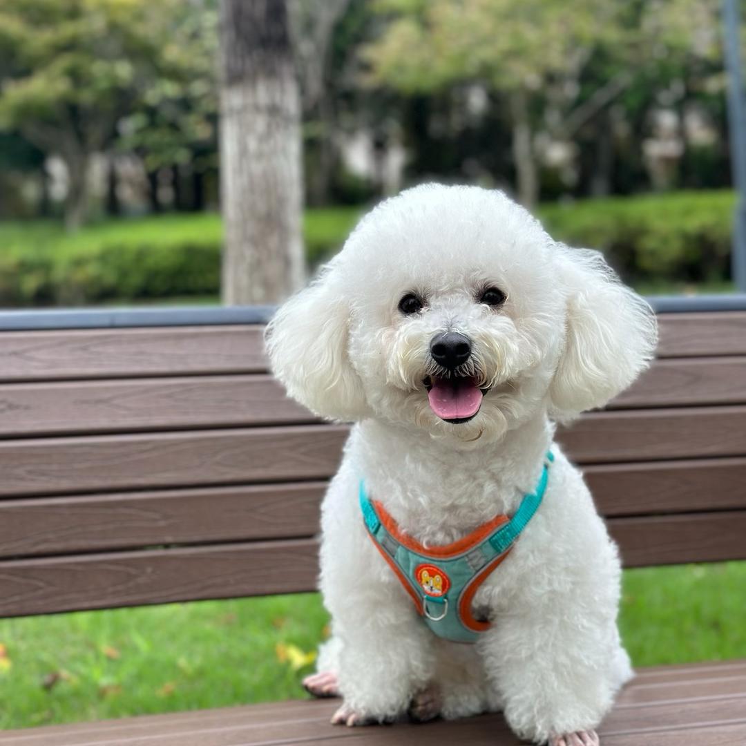 慢热丶