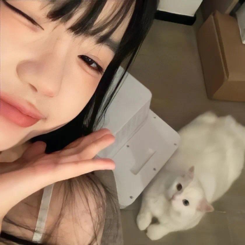 叮叮猫儿/