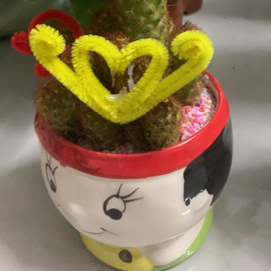 小悦