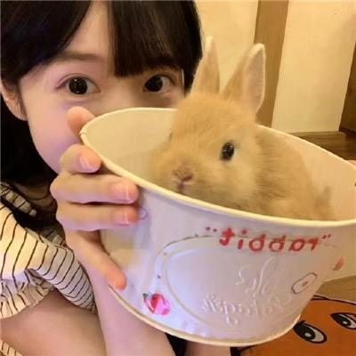 兔八哥.🐰