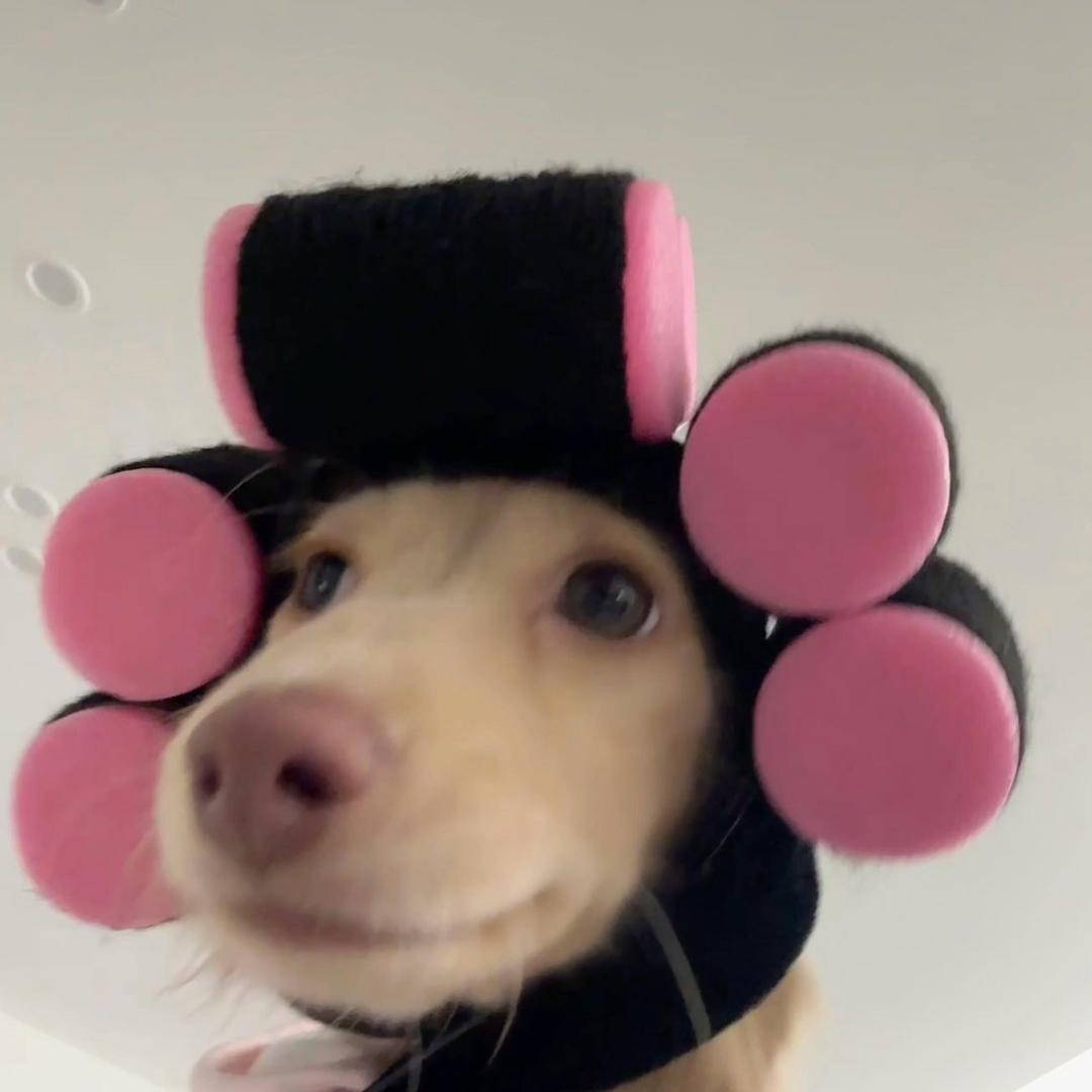满满ㅤㅤㅤㅤㅤ头像