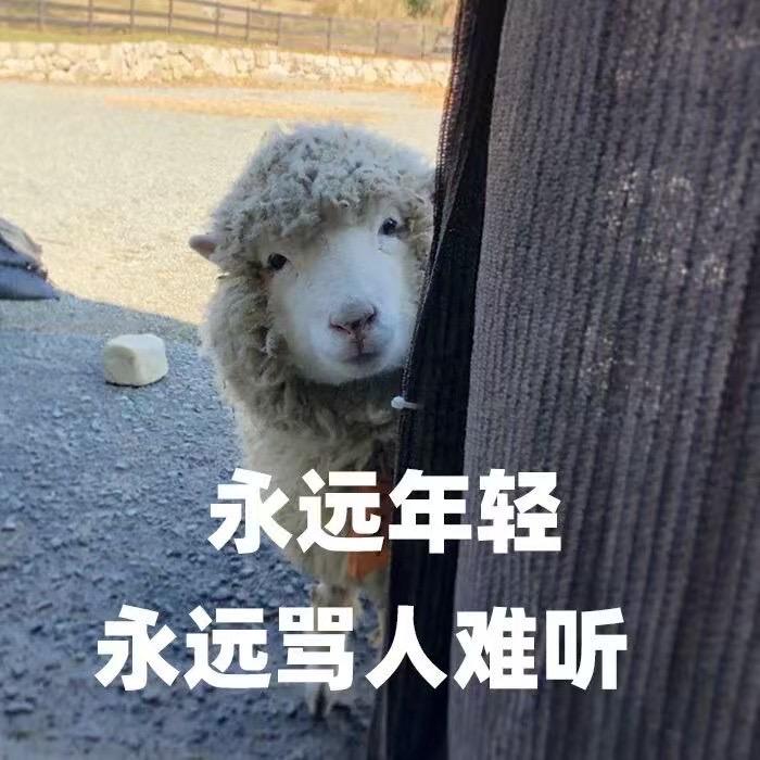 李（负债200w版）