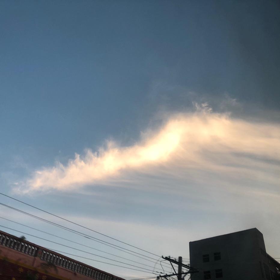 大青蛙呱呱呱