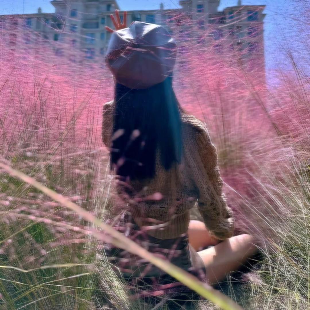 芯瑶