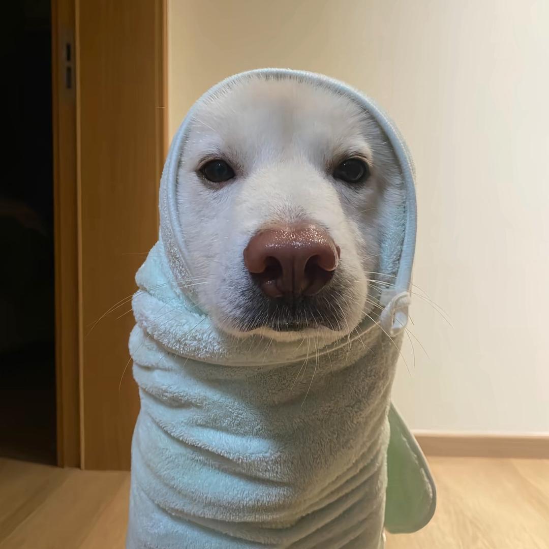 待我如初