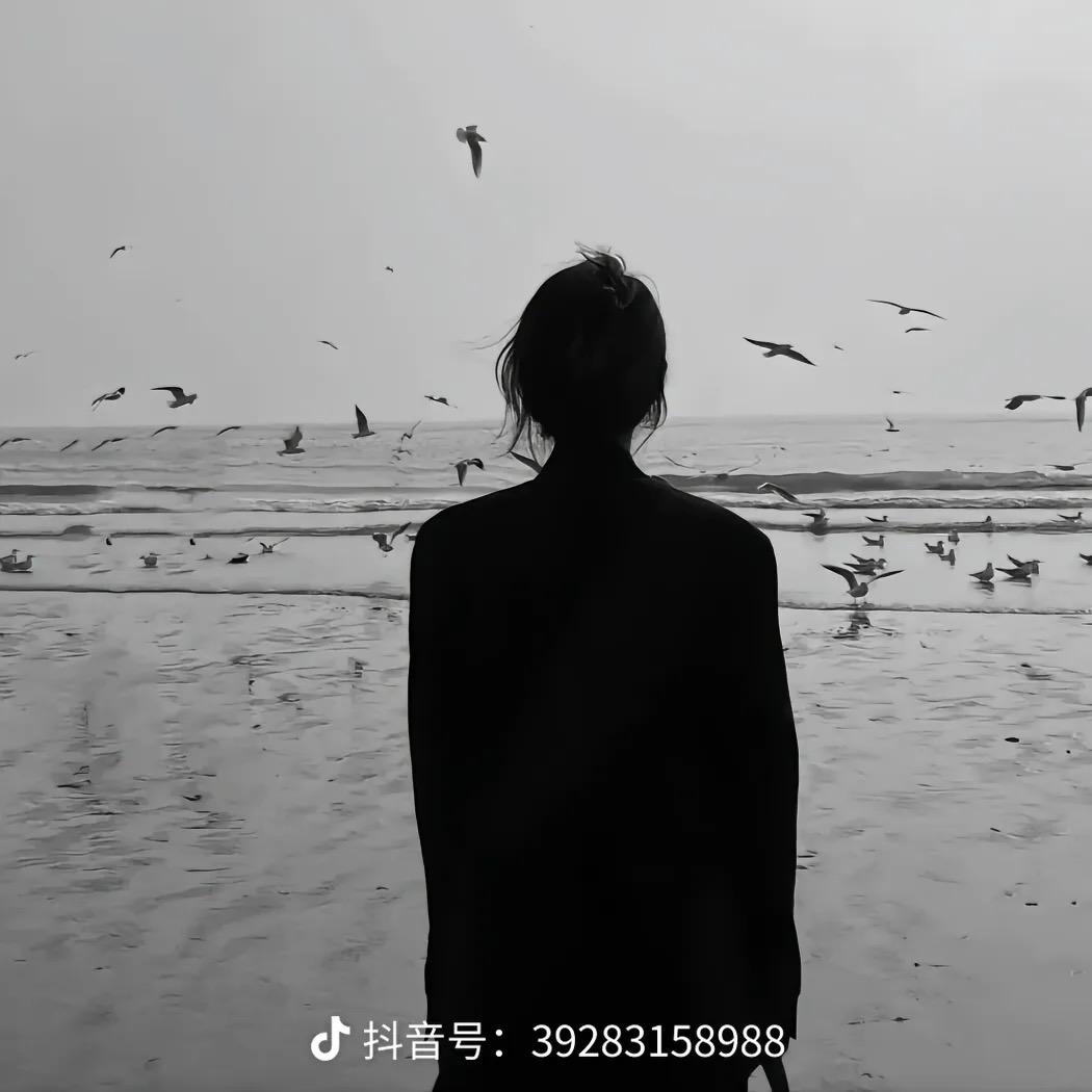 清晨🪅