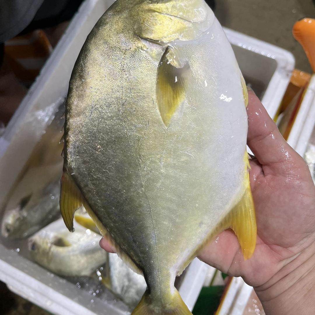 珍鲜汕尾本港海鲜