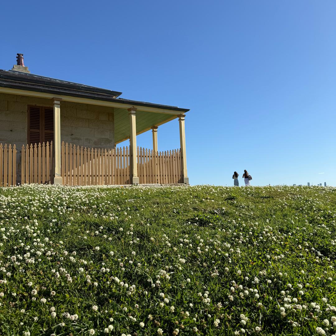 蝶舞飞飞🍀☘️
