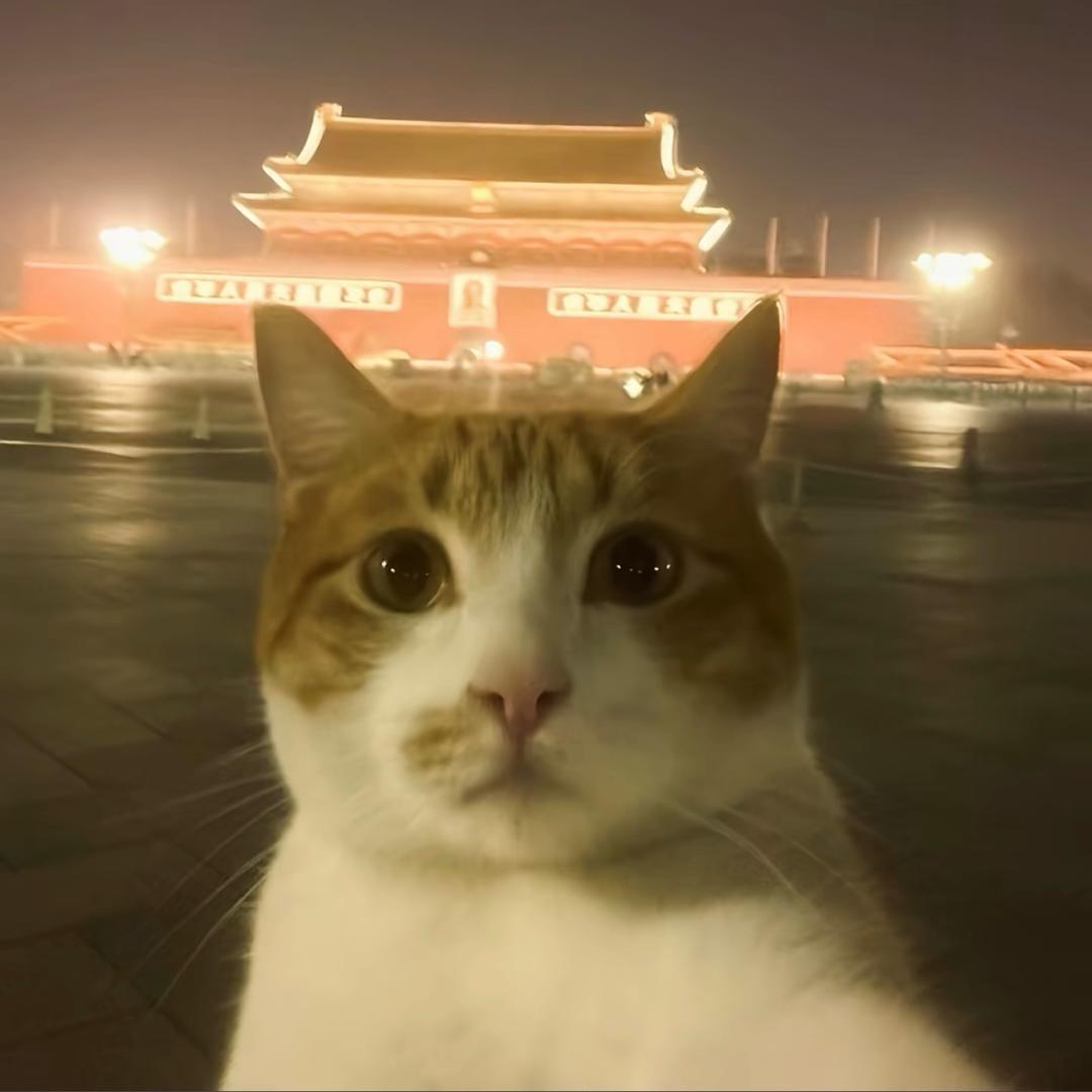 瞅丑