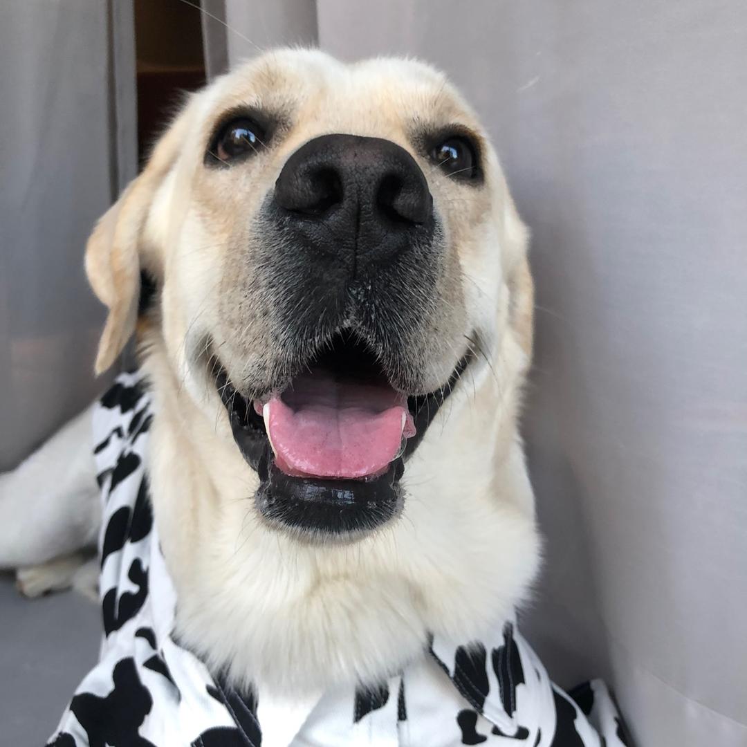 被偷走的炸弹💣