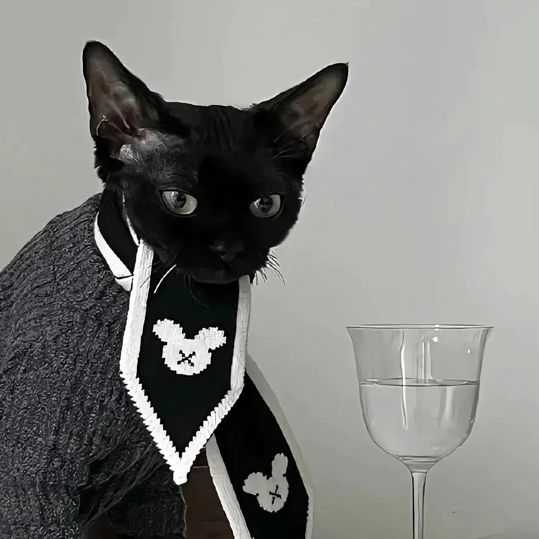 鱼亦菲