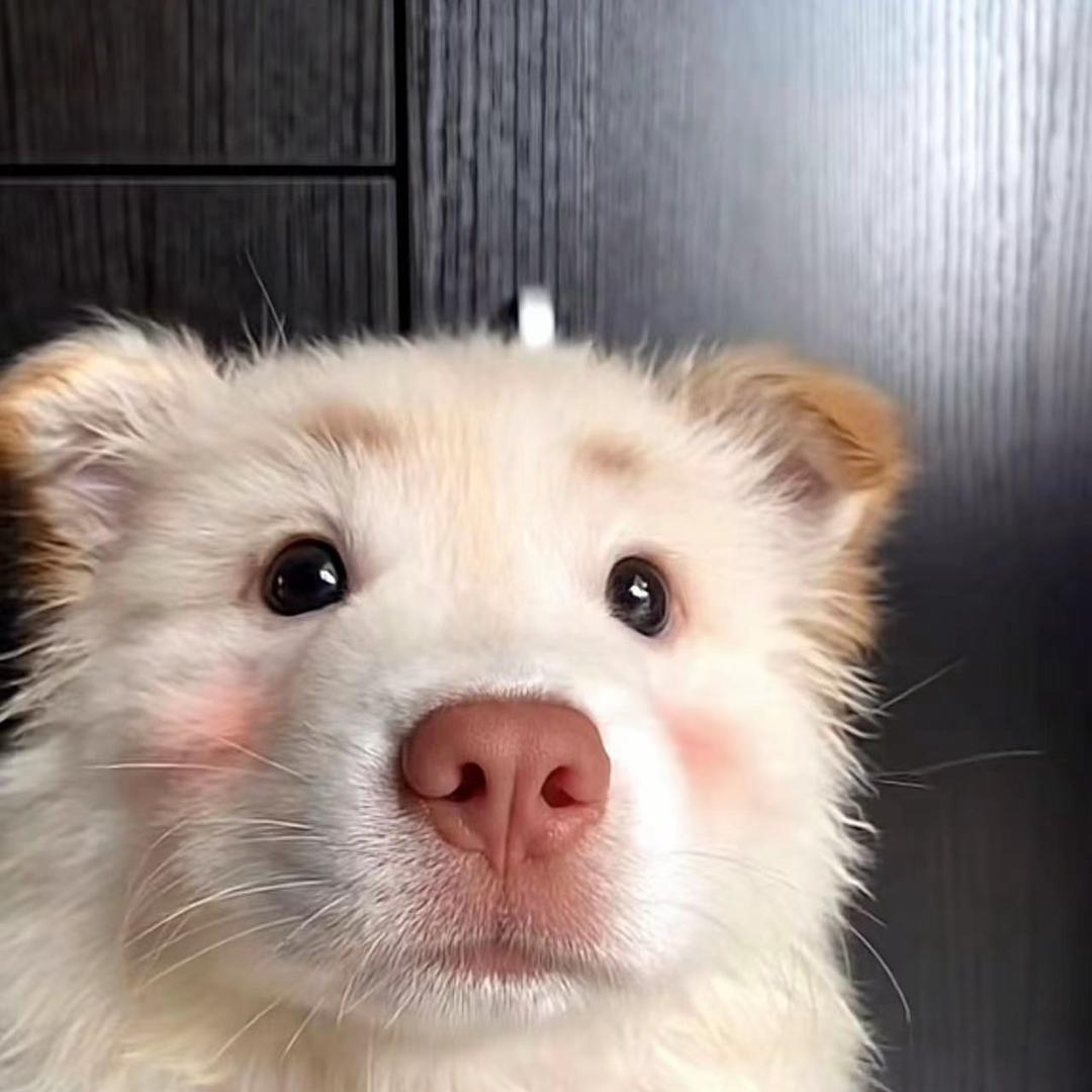 李泽泽