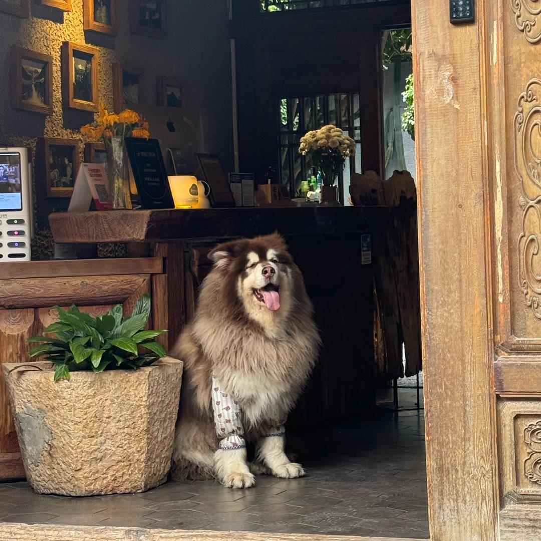 农村妹(首播筹备中)