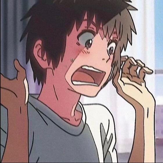 想养个猫