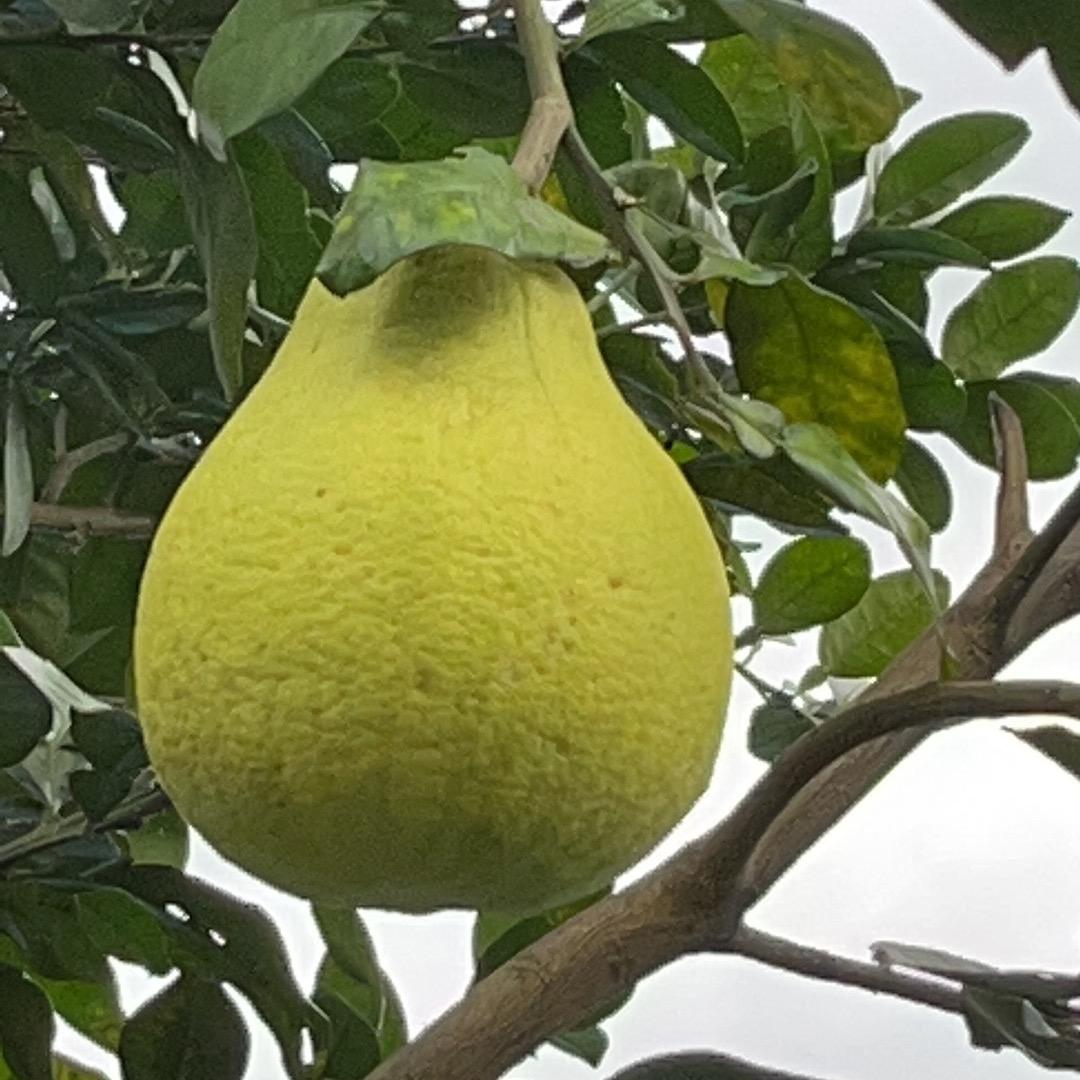 天立