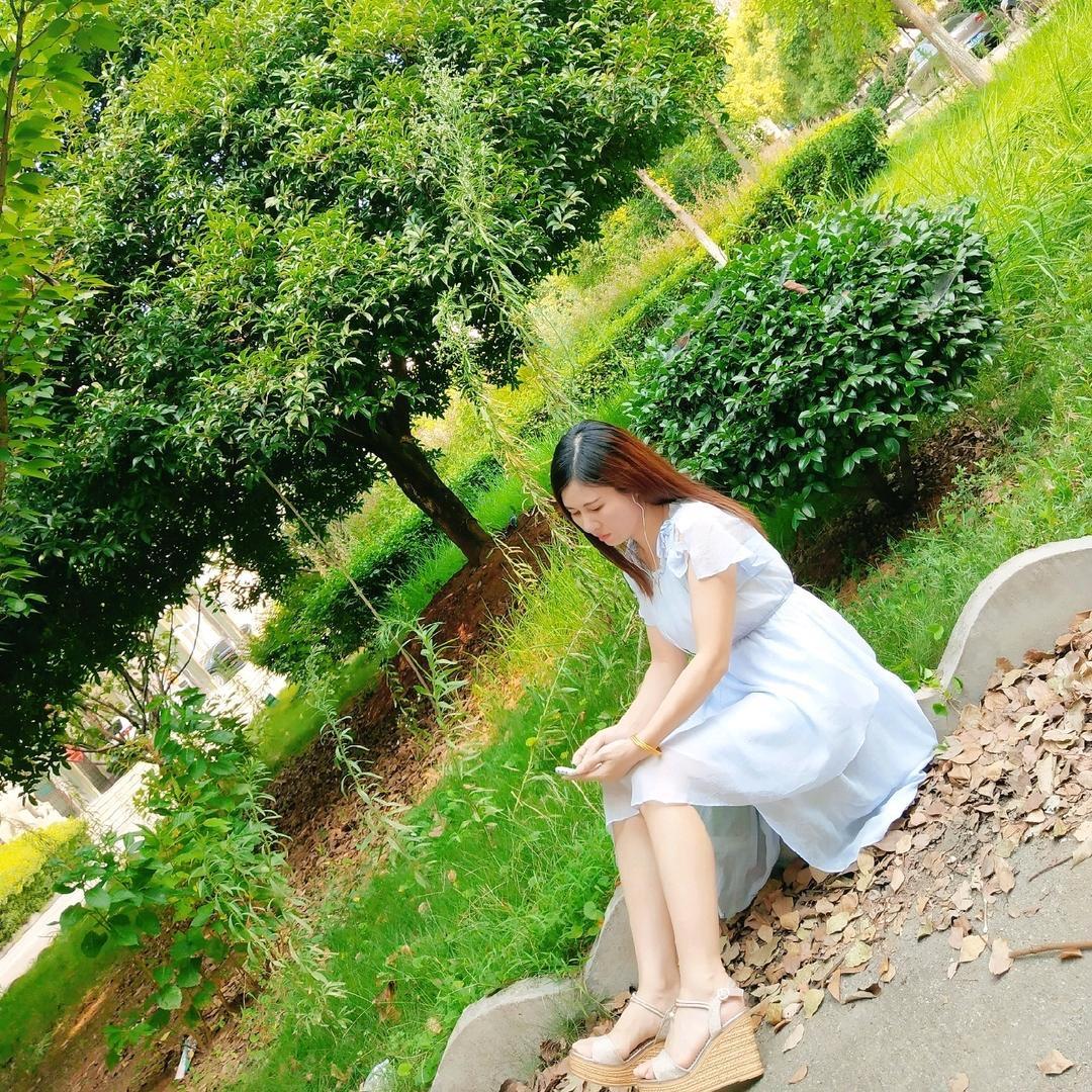 冰莹