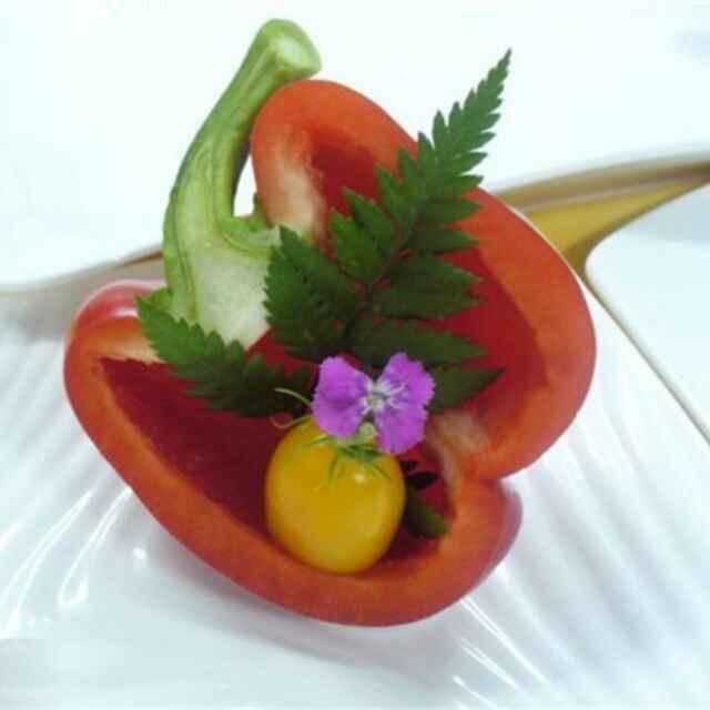 小羊的洋