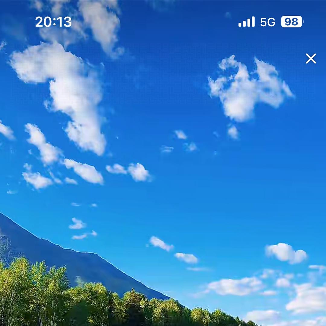 婷姐商贸行