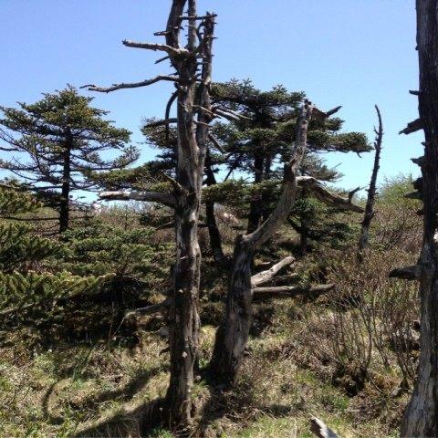 👀想不起来了？