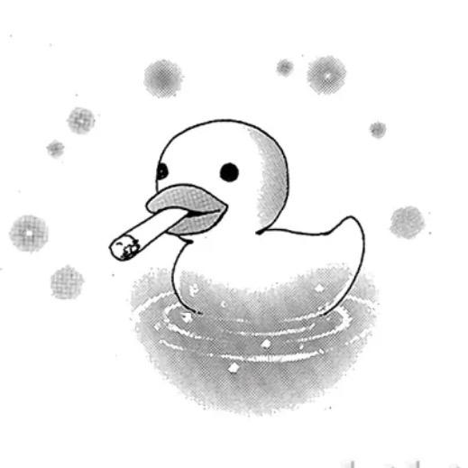 APiNKY