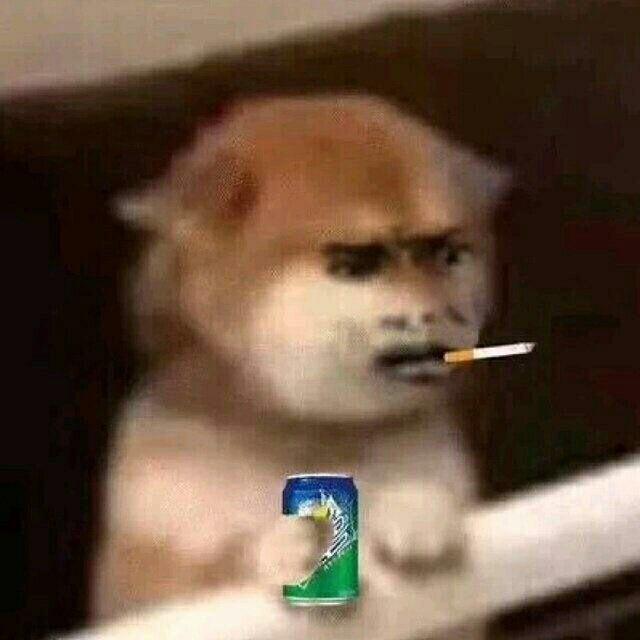 ༄྄ེིོུ 灿 ཉི࿔࿆