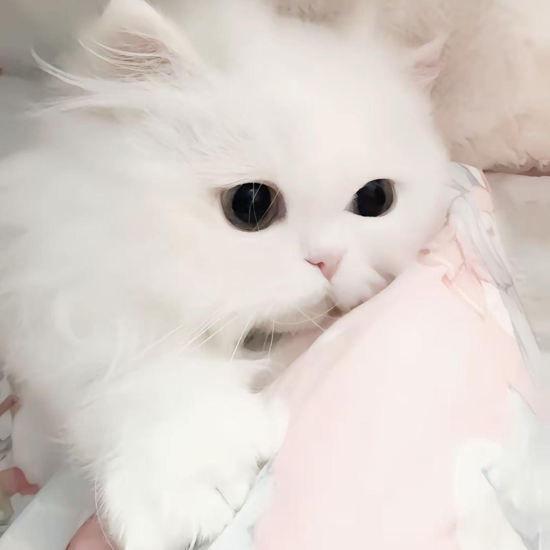 么么