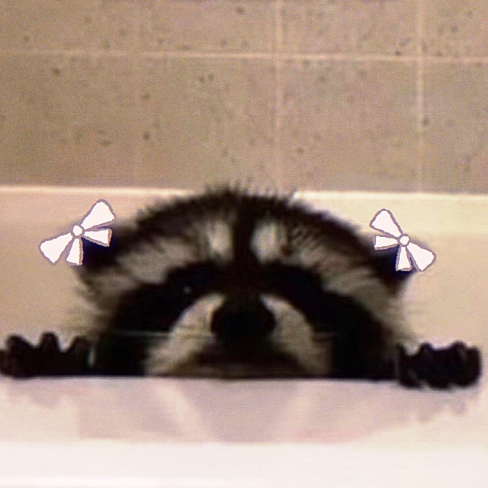 M_ög1N