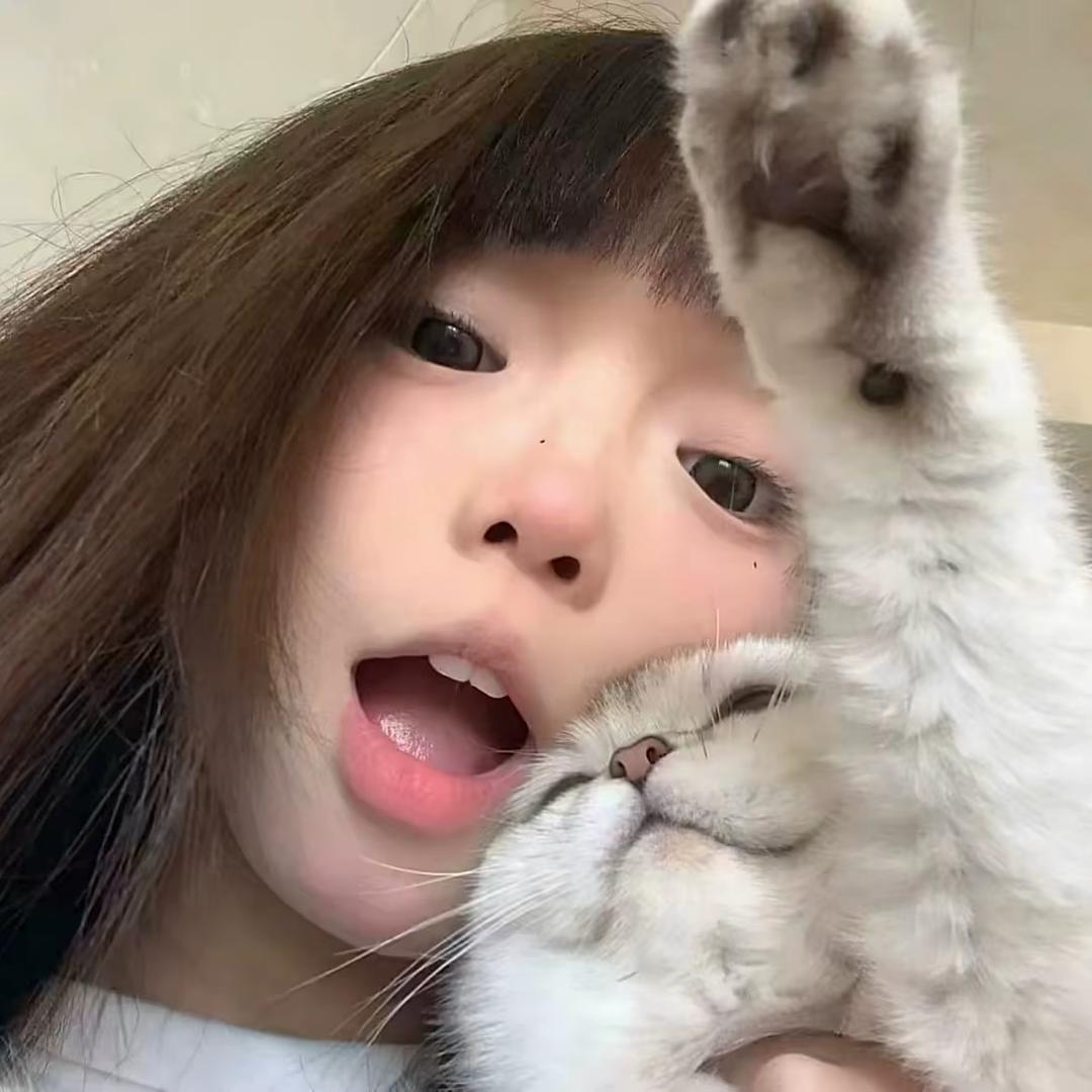 洛洛李.