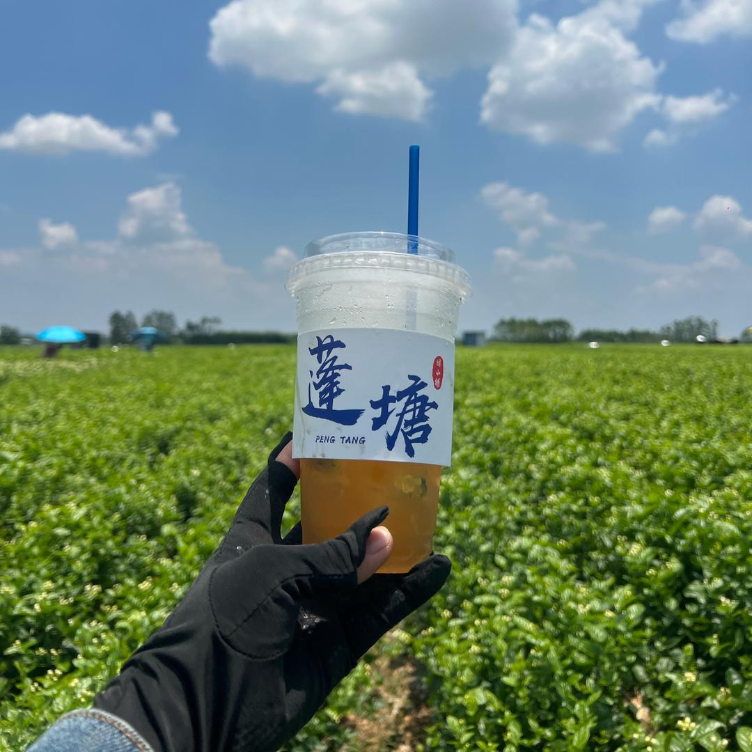 ☪︎* 黄: Huᰔᩚangᐝ