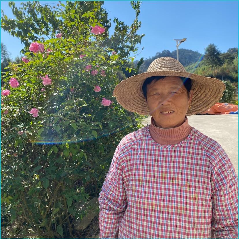 黄山焦大姨