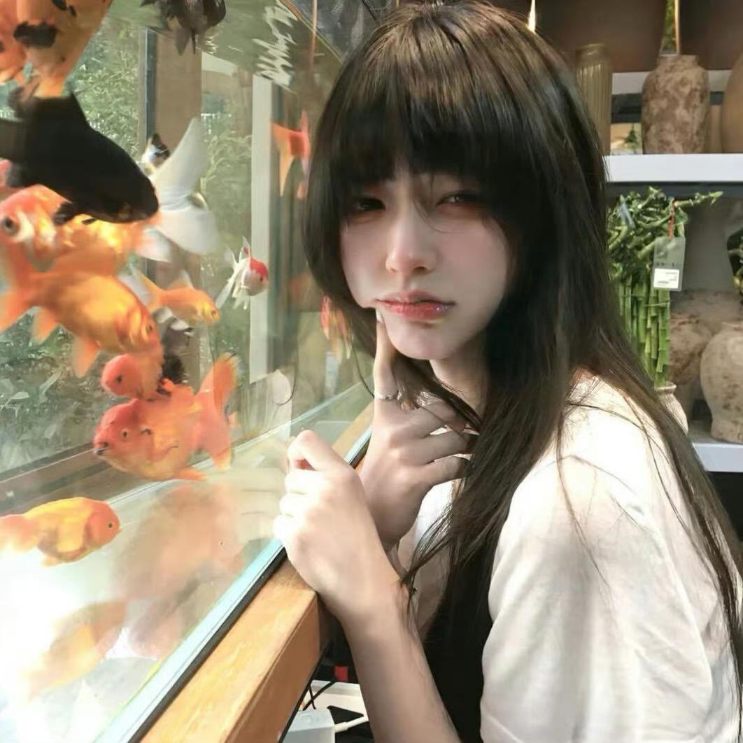 小hu泡泡🫧