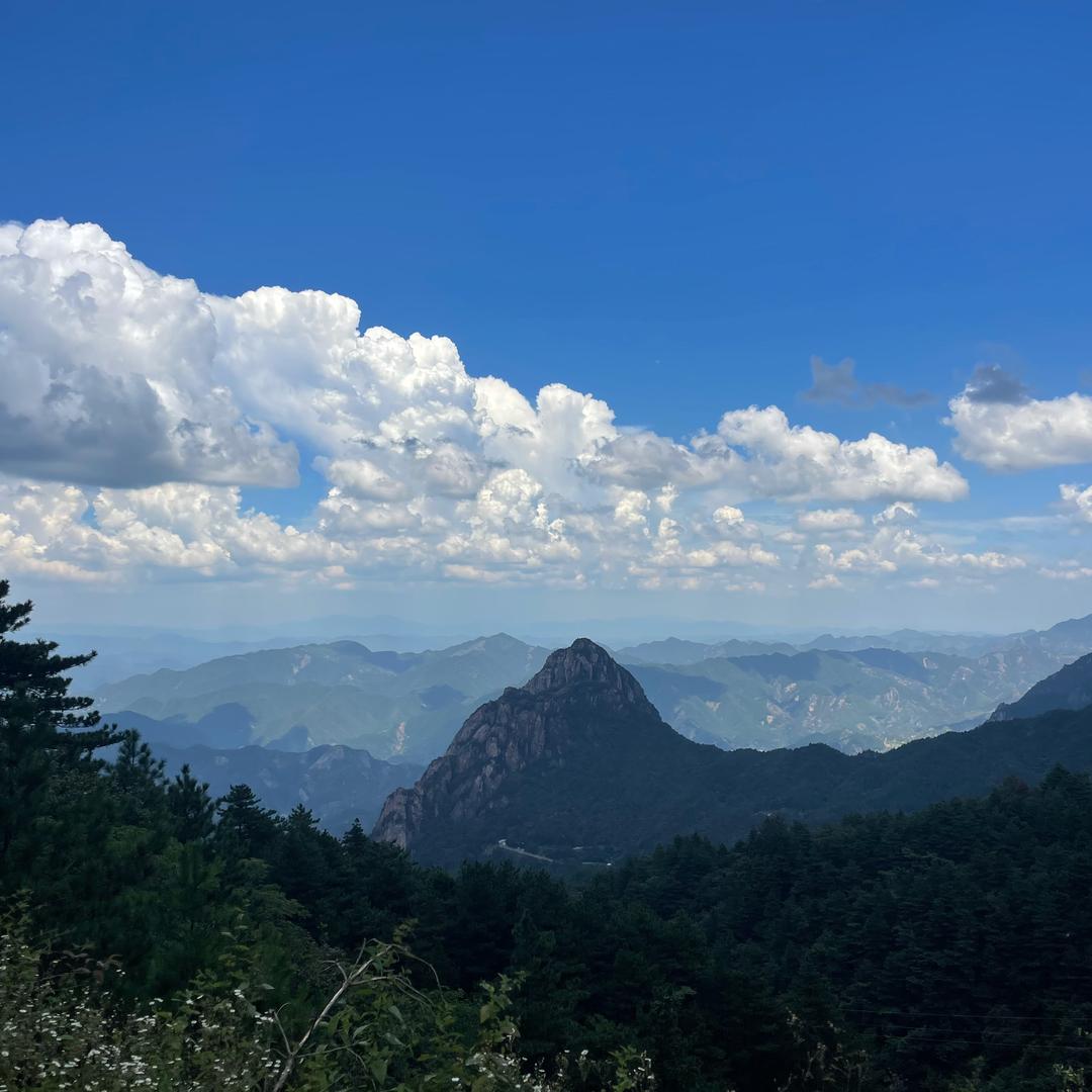 幸福九站