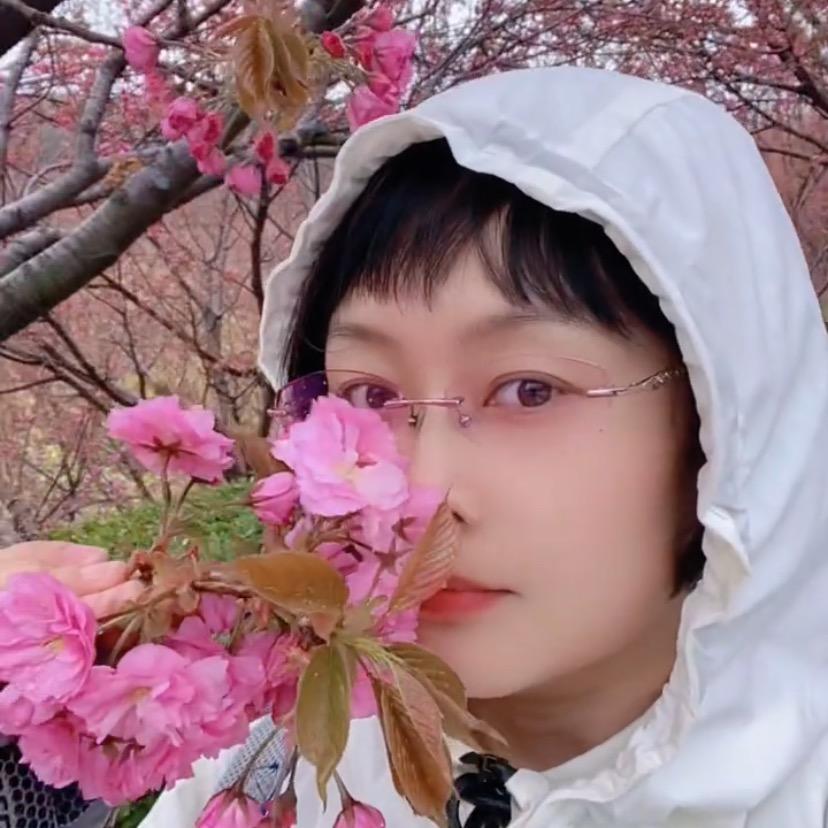 谢菲美术