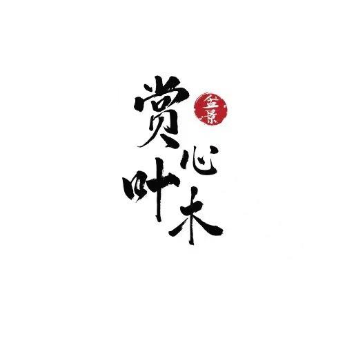 赏心叶木盆景